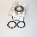 Stupicas gultnis (rumbas/ riteņu) priekšējais TOYOTA; VKBA1911 (ARG057)