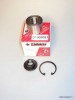 Stupicas gultnis (rumbas/ riteņu) aizmugurējais FORD, MAZDA; SKF VKBA3532 (Timmen)