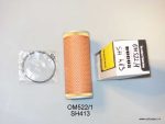 Eļļas filtrs BMW; FILTRON OM522/1 (BUGUS Q-OL0274)