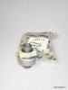 Bendiks Fiat (Cargo 132119) 366-1660 CAR