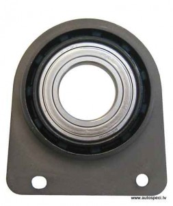 02N409335E-Sharan-pusass-gultnis-00-