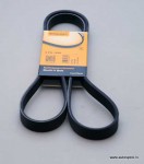 Rievsiksna 6PK1538 Contitech.